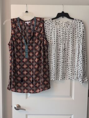 Bundle of 2 blouses - 1 sleeveless, 1 sheer long sleeve